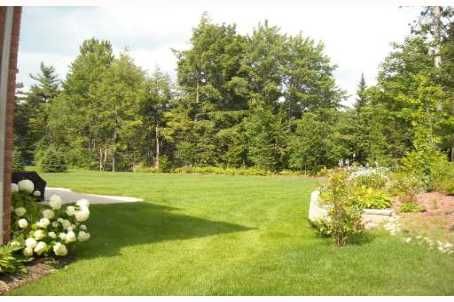 38 Lilac Lane, Springwater, L0L1X0 | Image 3