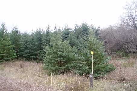 6000 Eighth Line, Erin, Xxxxxx | Image 2