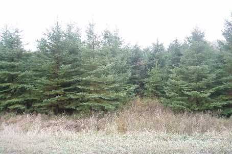 6000 Eighth Line, Erin, Xxxxxx | Image 3