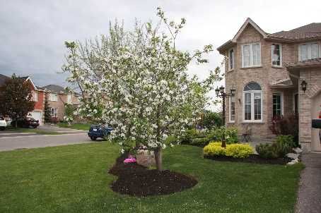 14 Round Leaf Crt, Barrie, L4N9N3 | Image 2