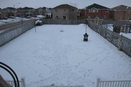 14 Round Leaf Crt, Barrie, L4N9N3 | Image 3