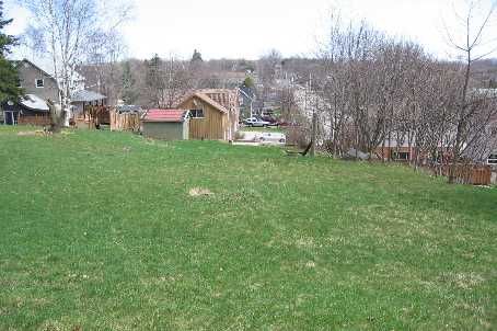 34 Crozier St, East Luther Grand Valley, L0N1G0 | Image 3