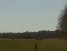 8949 Wellington Rd 22 Rd, Erin, N0B1Z0 | Image 2