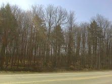 8949 Wellington Rd 22 Rd, Erin, N0B1Z0 | Image 3