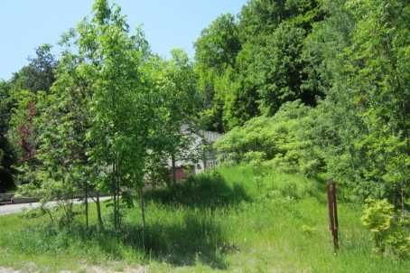 17 Pine Ridge Tr, Oro-Medonte, L4M4Y8 | Image 2