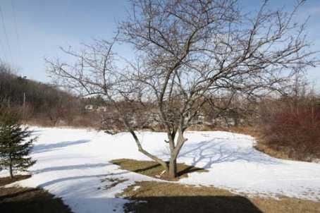 37 Bartlett Ave S, Grimsby, L3M4V5 | Image 3