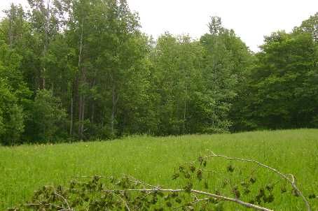 0 East Rd, Parry Sound Remote Area, P0H1S0 | Image 2