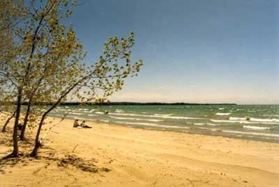 42 Madawaska Tr, Wasaga Beach, L9Z1X7 | Image 2