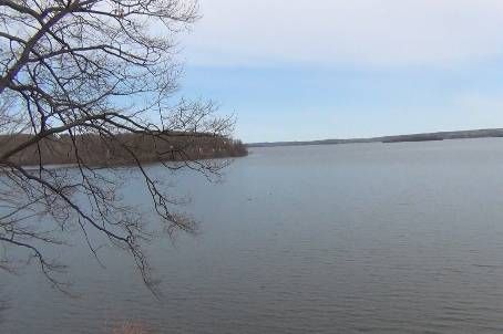 110 Cow Island, Otonabee-South Monaghan, K0L1B0 | Image 2