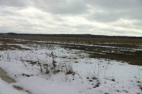 2669 Third St, St. Catharines, L2R6P7 | Image 2