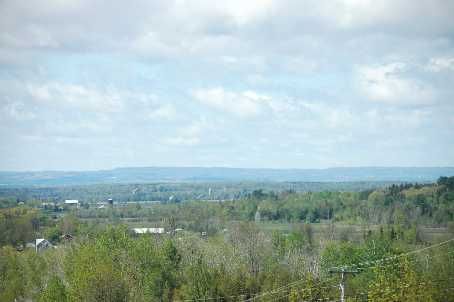 4056 Horseshoe Valley Rd W, Springwater, L0L1Y2 | Image 3