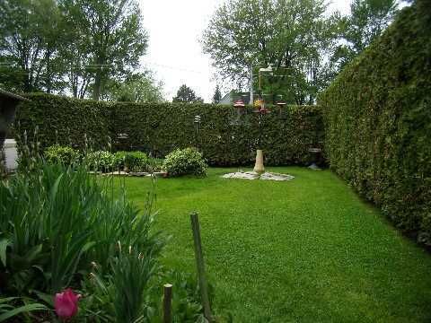 95 Lake Ave, Ramara, L0K 1B0 | Image 2