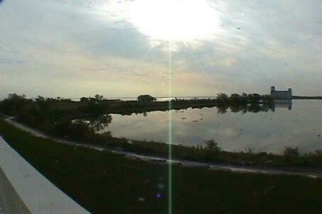 59 Cranberry Surf, Collingwood, L9Y 4T | Image 3