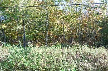 379 Rope Blvd, Tay, L0K2C0 | Image 3