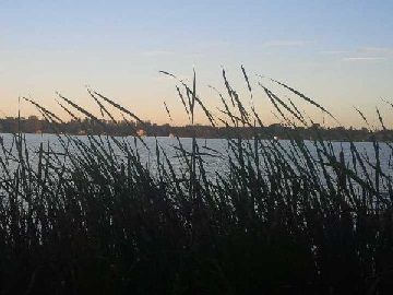 26 Beach Rd, Kawartha Lakes, K0M2C0 | Image 2