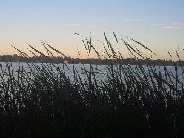 26 Beach Rd, Kawartha Lakes, K0M2C0 | Image 2