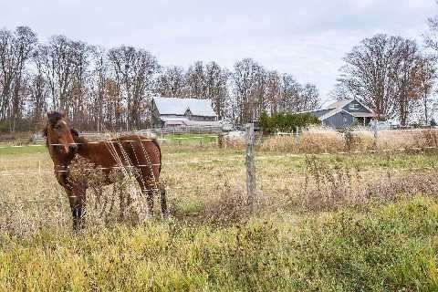 1424 Klondike Park Rd, Clearview, L0M 1S0 | Image 2