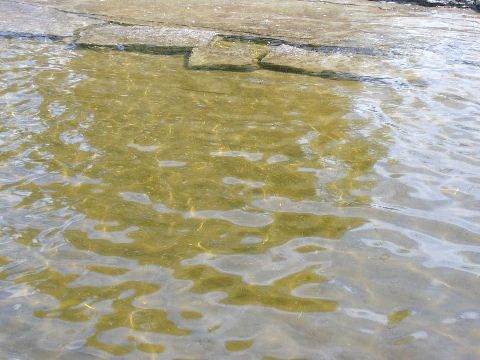 258 Patterson Blvd, Tay, L0K1R0 | Image 3