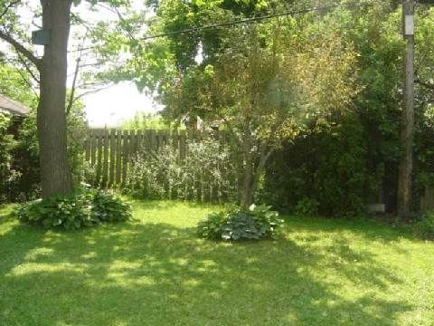 340 Glenridge Ave, St. Catharines, L2T3K7 | Image 3