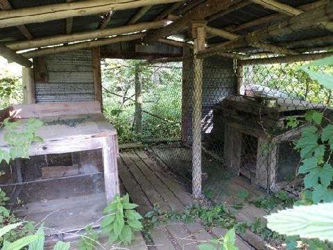 Room2