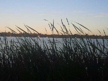 26 Beach Rd, Kawartha Lakes, K0M2C0 | Image 2