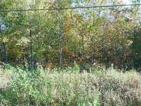 379 Rope Blvd, Tay, L0K2C0 | Image 3