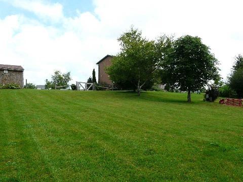 18 Peter St, Amaranth, L9W5Z2 | Image 3