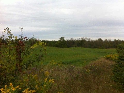 00 Tenth Line, Erin, N0B1T0 | Image 2