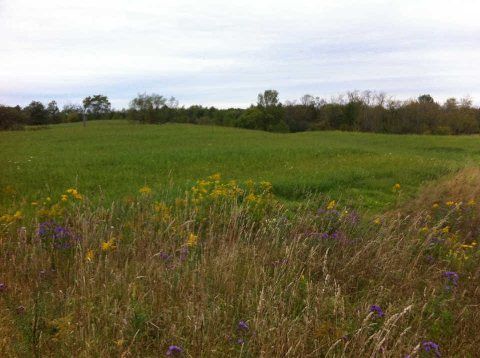 00 Tenth Line, Erin, N0B1T0 | Image 3