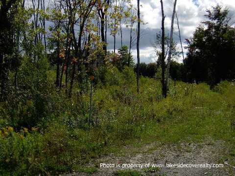 41 Paradise Blvd, Ramara, L0K 1B0 | Image 3