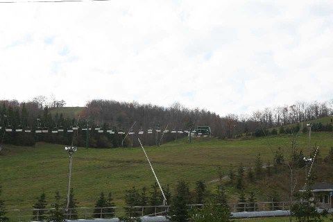 118 Lendvay Ally, Blue Mountains, L9Y 2S1 | Image 3