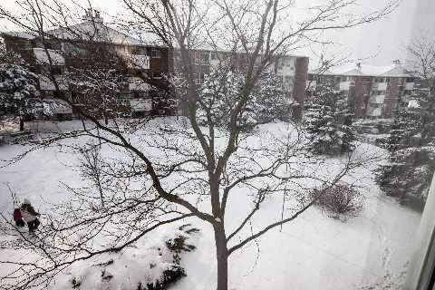 312 - 126 Bell Farm Rd, Barrie, L4M6J3 | Image 2