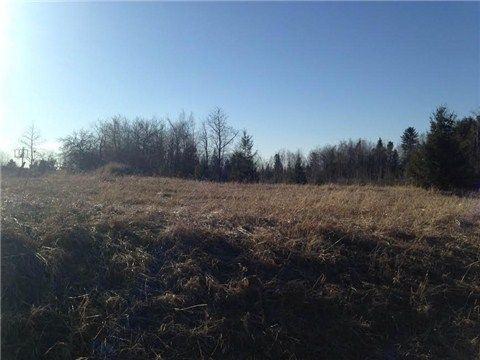 64149 County Road 3 Rd, East Garafraxa, L9W7J4 | Image 3