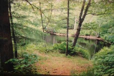 Lot 11 Concession G Sdrd, Ramara, Xxxx | Image 2