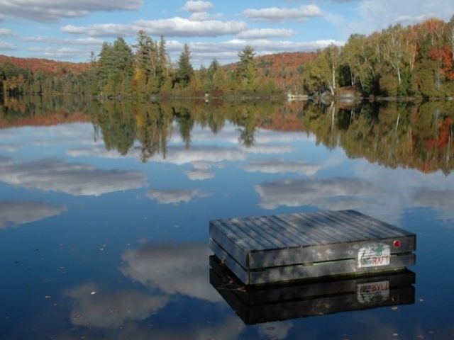 299 Sherwood Dr, Perry, P0A1R0 | Image 2