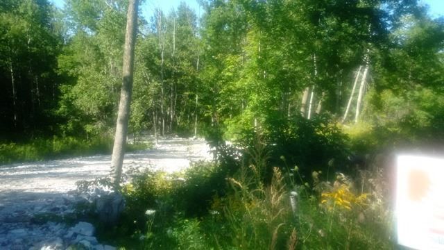 14 Winter Rd, Trent Hills, K0K 3K0 | Image 2