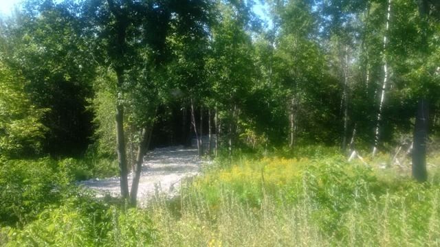 14 Winter Rd, Trent Hills, K0K 3K0 | Image 3