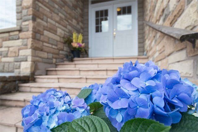 2884 Sunnydale Lane, Ramara, L0K 1B0 | Image 3