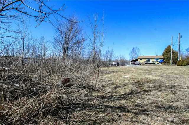 195 Nelson St, Gravenhurst, P1P 1K7 | Image 2