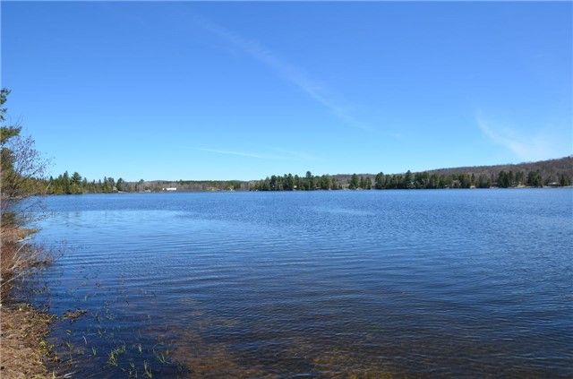 15166 Highway 118, Dysart et al, K0M 15O | Image 3