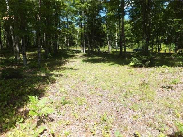 0 Glamor Lake Rd, Highlands East, K0H 1R0 | Image 2