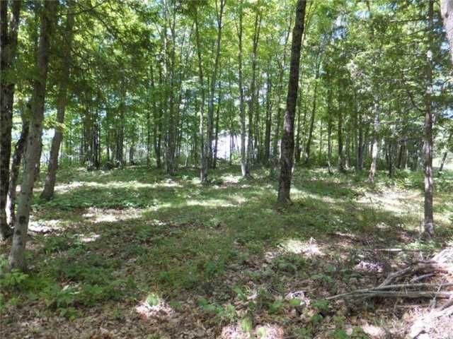 0 Glamor Lake Rd, Highlands East, K0H 1R0 | Image 3