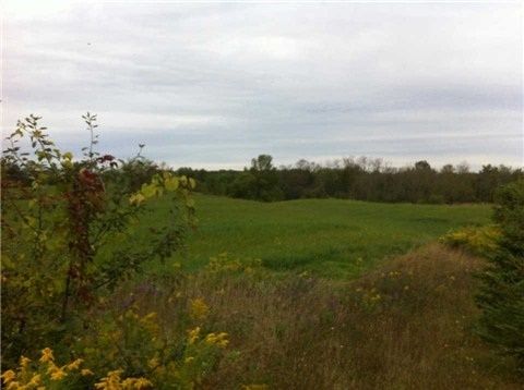 00 Tenth Line, Erin, N0B1T0 | Image 3