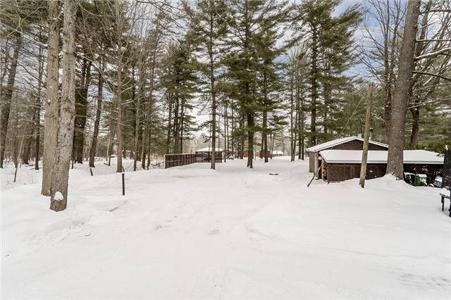 118 Stanley Rd, Kawartha Lakes, K0M1B0 | Image 2