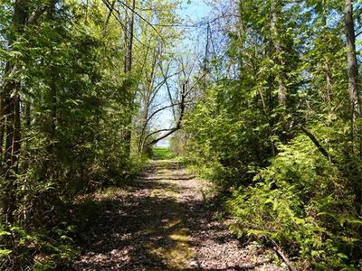 247 Dunnette Landing Rd, Alnwick/Haldimand - Rural Alnwick/Haldimand image-0-4