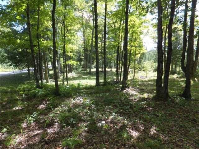 0 Glamor Lake Rd, Highlands East, K0H1P0 | Image 2