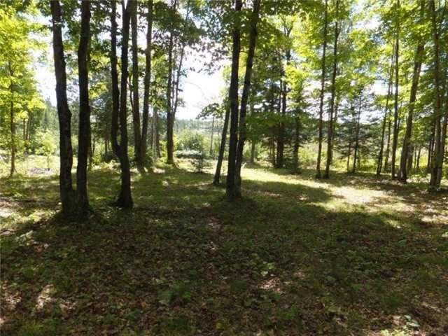 0 Glamor Lake Rd, Highlands East, K0H1P0 | Image 3