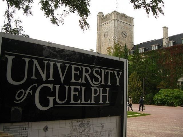 514 - 1219 Gordon St, Guelph, N1L0M5 | Image 3