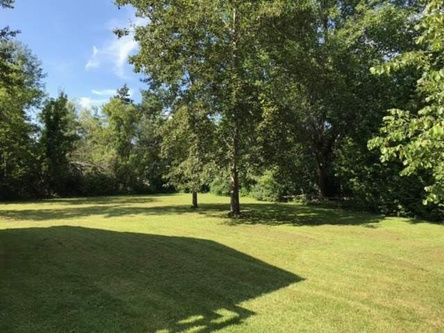 4 Macpherson Cres, Kawartha Lakes, K0M2B0 | Image 2