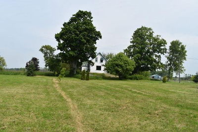 4805 County Road 8 Rd, Prince Edward County - North Marysburgh image-0-4